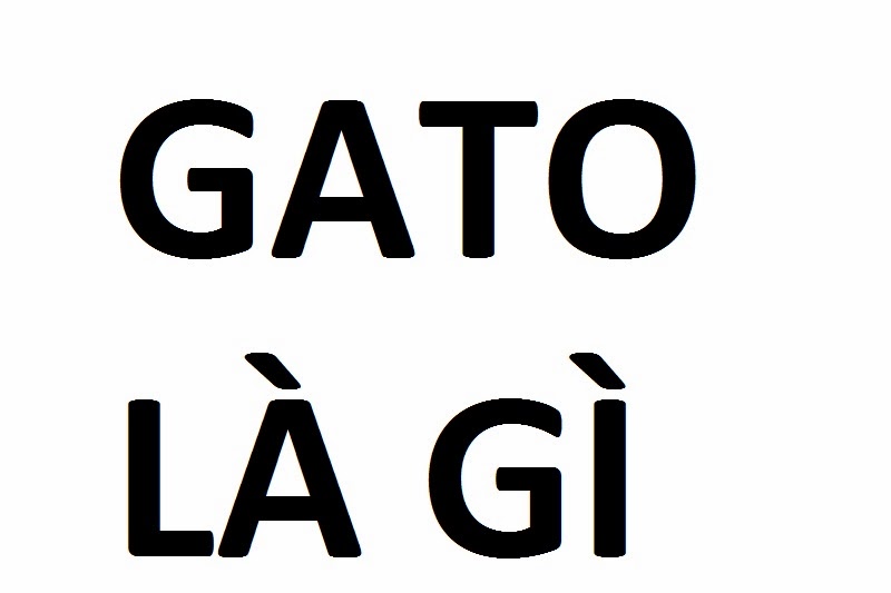 GATO Là Gì? Tìm Hiểu Về GATO Là Gì?
