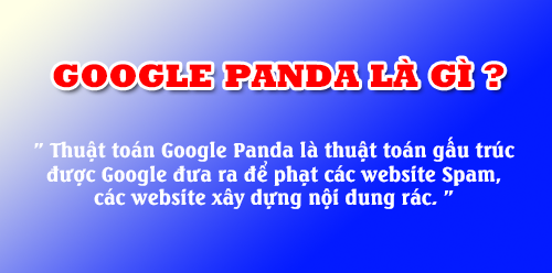 Google Panda là gì? Thuật toán Google Panda là gì?