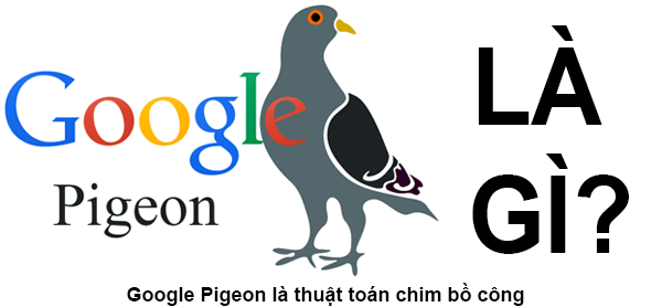 Google Pigeon Là Gì? Thuật Toán Pigeon Là Gì?