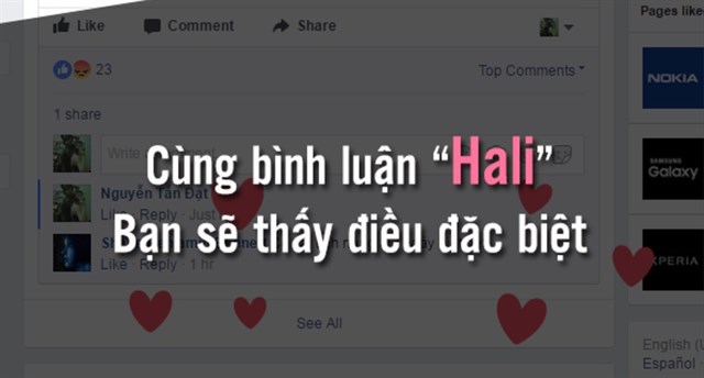 Hali Là Gì? Tìm Hiểu Về Hali Là Gì?