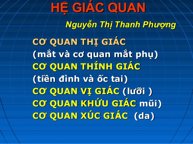 Hệ Giác Quan Là Gì? Tìm Hiểu Về Hệ Giác Quan Là Gì?