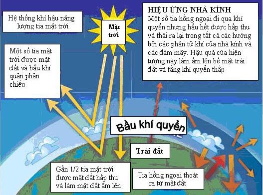 Hiệu Ứng Nhà Kính Là Gì? Tìm Hiểu Về Hiệu Ứng Nhà Kính Là Gì?