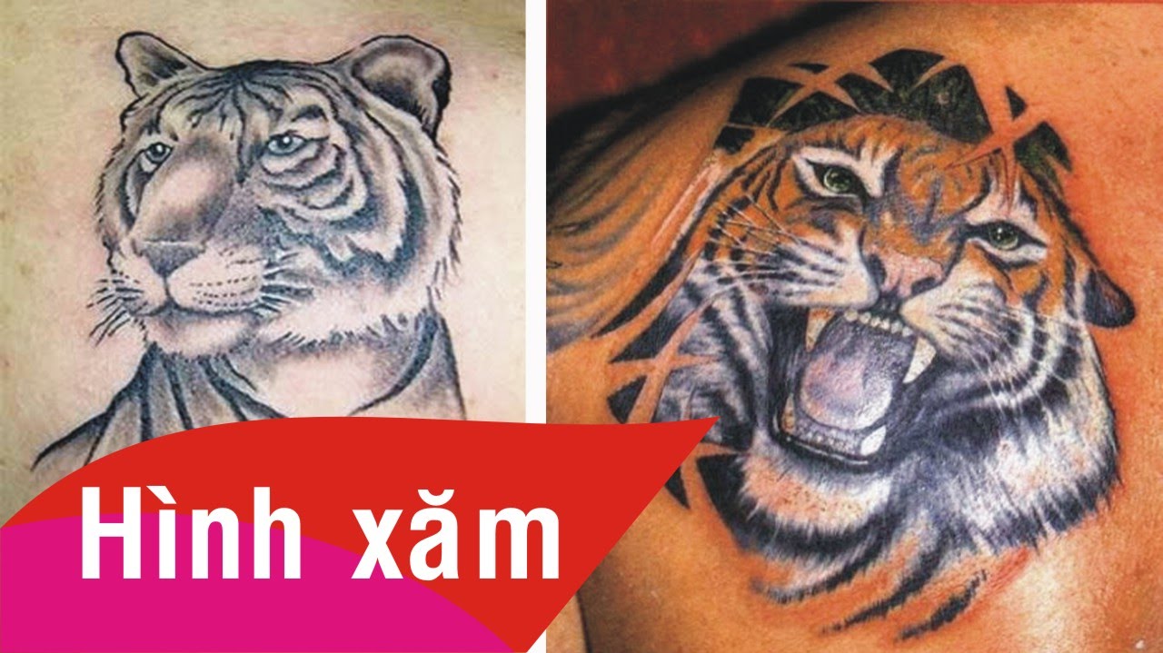 Hình Xăm Hổ Xuống Núi Là Gì? Tìm Hiểu Về Hình Xăm Hổ Xuống Núi Là Gì?