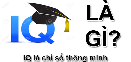 IQ Là Gì? Khái Niệm Về IQ Là Gì?