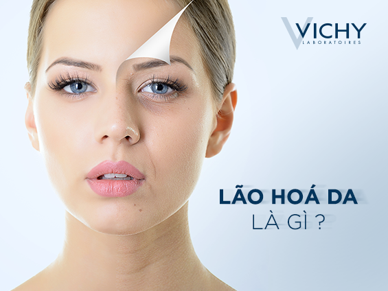 Lão Hóa Là Gì? Tìm Hiểu Về Lão Hóa Là Gì?