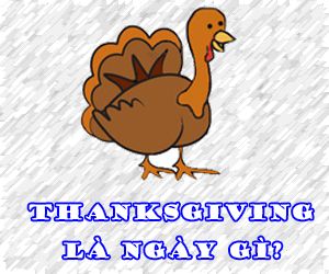 Lễ Tạ Ơn Là Gi? Tìm Hiểu Về Lễ Tạ Ơn Là Gi?