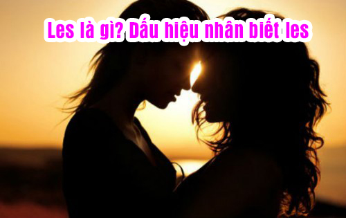 Les Là Gì? Tìm Hiểu Về Les Là Gì?