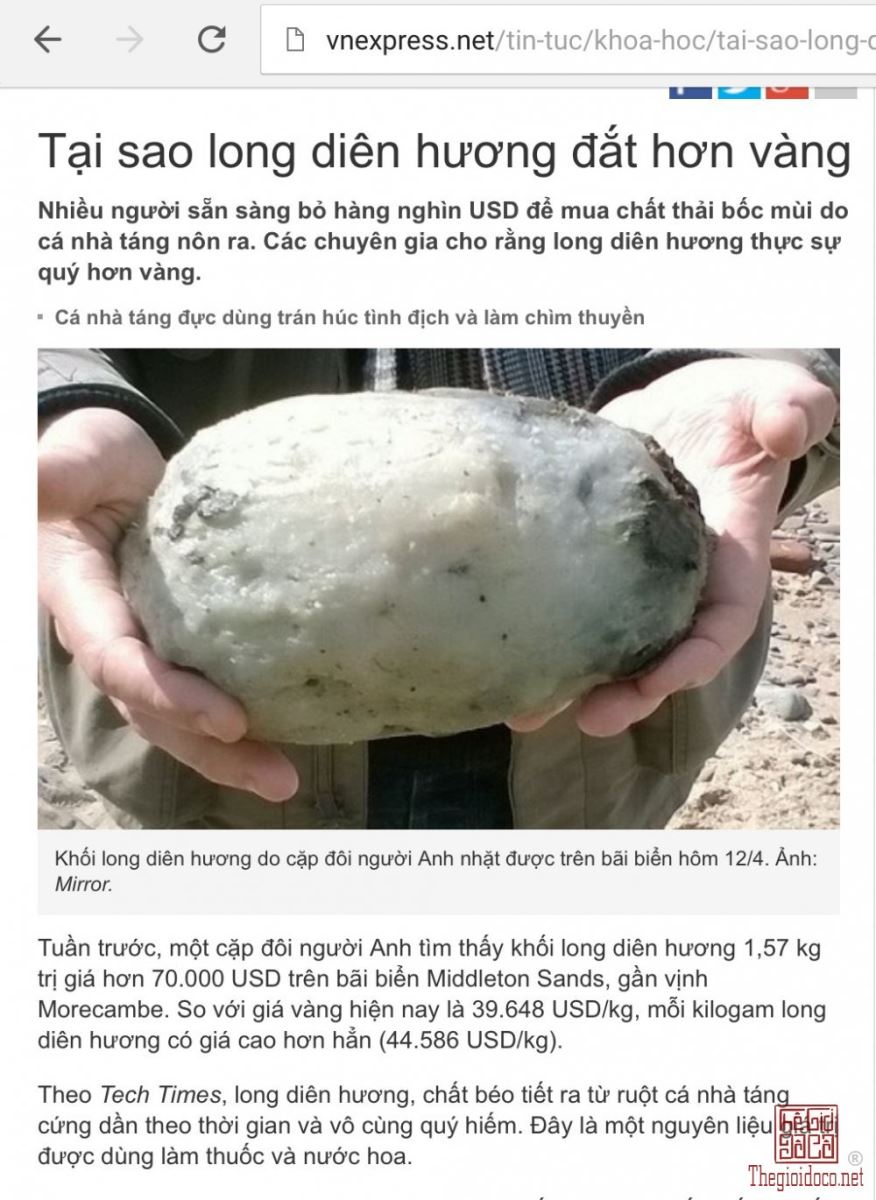 Long Diên Hương Là Gì? Tìm Hiểu Về Long Diên Hương Là Gì?