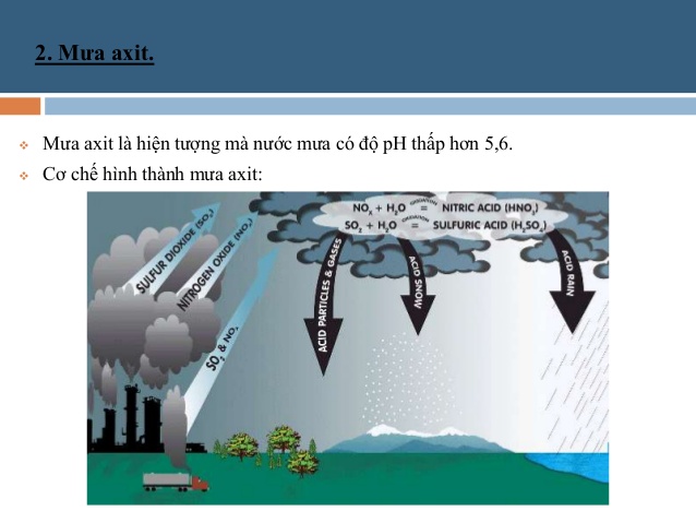 Mưa Axit Là Gì? Tìm Hiểu Về Mưa Axit Là Gì?
