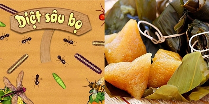 Ngày Chiết Sâu Bọ là Gì? Tìm Hiểu Về Ngày Chiết Sâu Bọ là Gì?