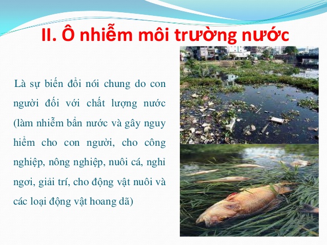 Ô Nhiễm Nước Là Gì? Tìm Hiểu Về Ô Nhiễm Nước Là Gì?