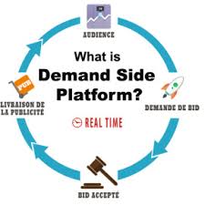 Patform Là Gì? Tìm Hiểu Patform Là Gì?