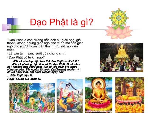 Phật Giáo Là Gì? Tìm Hiểu Về Phật Giáo Là Gì?