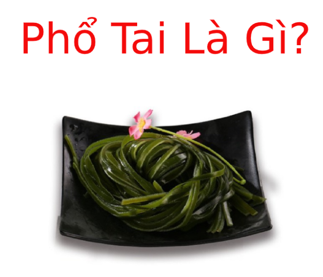 Phổ tai là gì? Tìm hiểu về Phổ tai