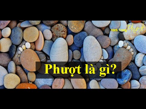 Phượt Là Gì? Tìm Hiểu Về Phượt Là Gì?