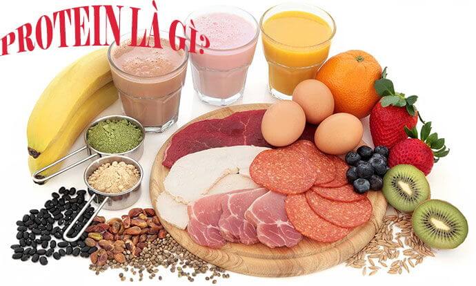 Protein Là Gì? Tìm Hiểu Về Protein Là Gì?