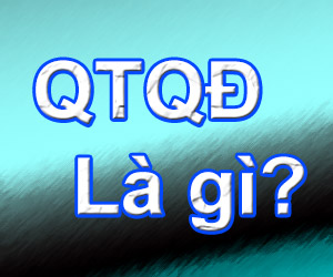 QTQD Là Gì? Tìm Hiểu Về QTQD Là Gì?