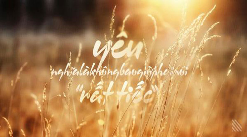 Quote Là Gì? Tìm Hiểu Quote Là Gì?