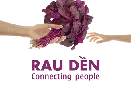 Rau Dền Là Gì? Tìm Hiểu Về Rau Dền Là Gì?