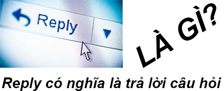 Reply Là Gì? Tìm Hiểu Reply Là Gì?