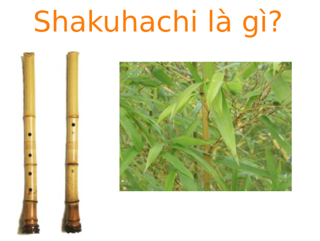 Shakuhachi là gì? Nguồn gốc của Shakuhachi