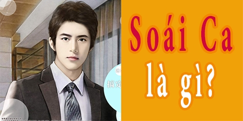 Soái Ca Là Gì? Tìm Hiểu Về Soái Ca Là Gì?