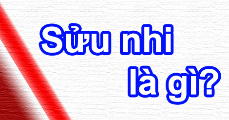 Sửu Nhi Là Gì? Tìm Hiểu Về Sửu Nhi Là Gì?