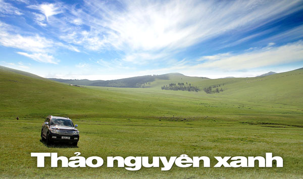 Thảo Nguyên Là Gì?Tìm Hiểu Về Thảo Nguyên Là Gì?