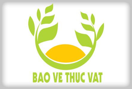 Thực Vật Biểu Sinh Là Gì? Tìm Hiểu Về Thực Vật Biểu Sinh Là Gì?