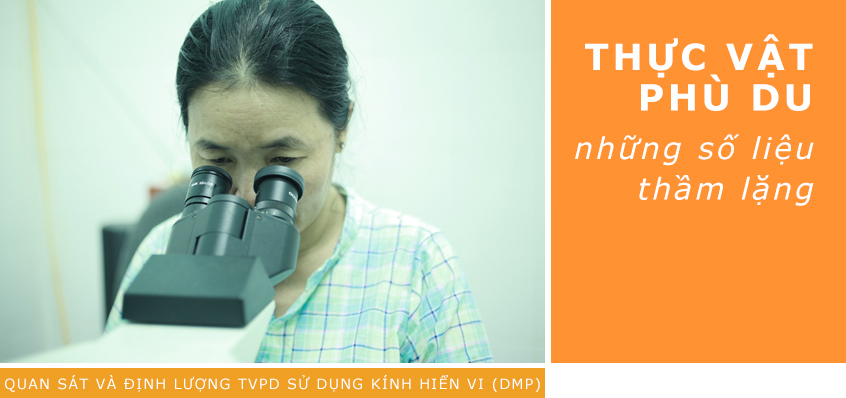 Thực Vật Phù Du Là Gì? Tìm Hiểu Về Thực Vật Phù Du Là Gì?