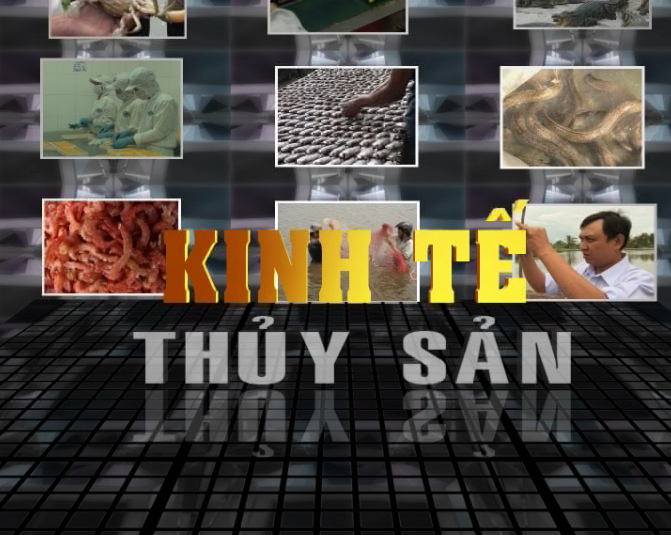 Thủy Sản Là Gì? Tìm Hiểu Về Thủy Sản Là Gì?