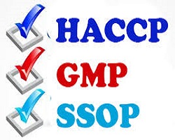 Tiêu Chuẩn Ssop Là Gì? Tìm Hiểu Về Tiêu Chuẩn Ssop Là Gì?