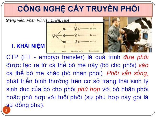 Tìm Hiểu Về Công Nghệ Cấy Truyền Phôi Là Gì?