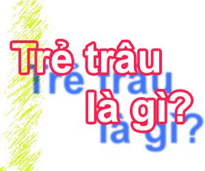 Trẻ Trâu Là Gì? Tìm Hiểu Về Trẻ Trâu Là Gì?