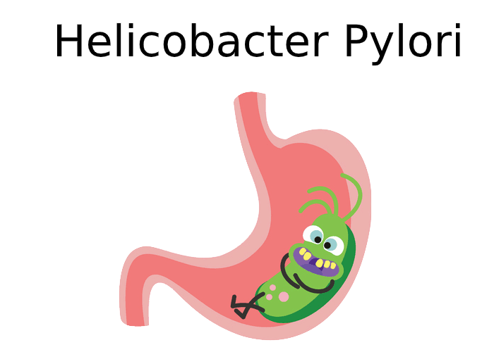 Vi khuẩn HP là gì? Tìm hiểu về vi khuẩn HP