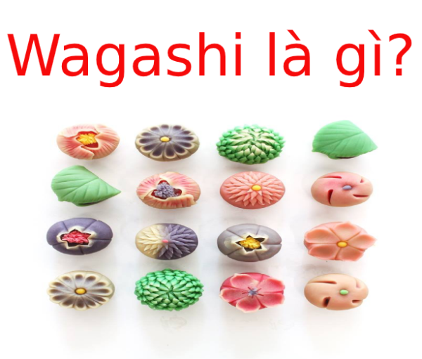 Wagashi Là Gì? Nguồn gốc của Wagashi
