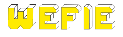 Wefie Là Gì? Tìm Hiểu Về Wefie Là Gì?