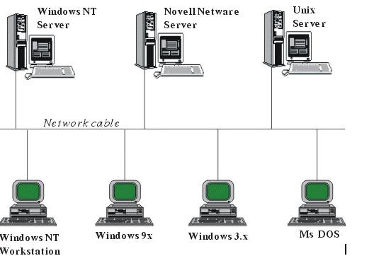 Chi tiết với hơn 76 về mô hình mạng wan hay nhất  Tin học Đông Hòa